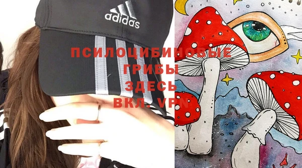 соль курить ск Коряжма