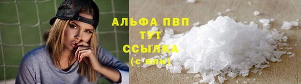прущие грибы Карабаш