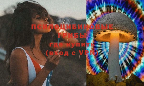 mdpv Канск